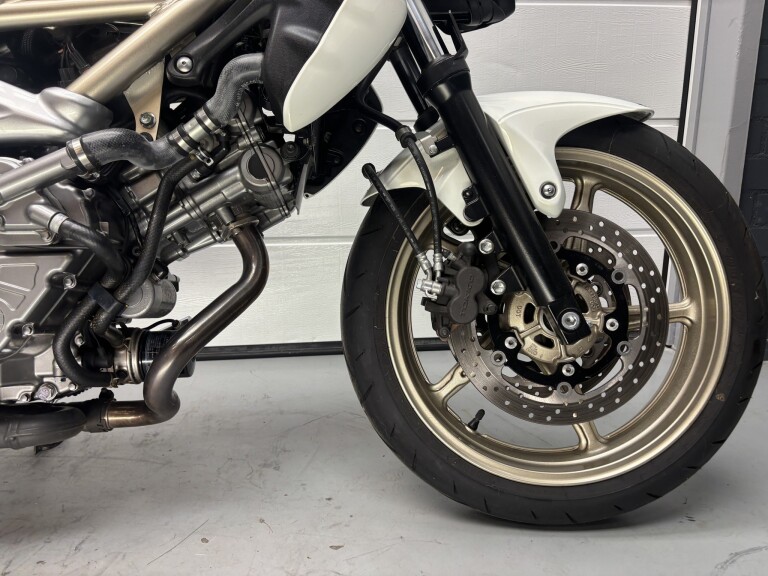Suzuki GLADIUS foto 5