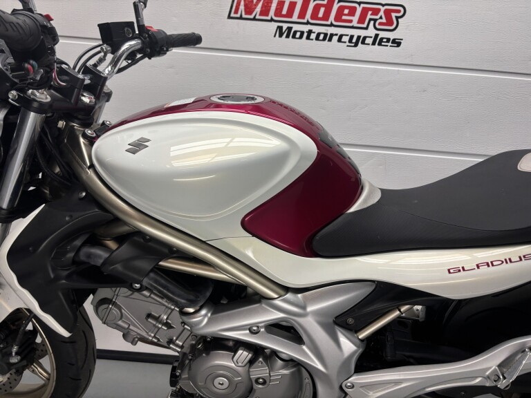 Suzuki GLADIUS foto 10