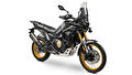 VOGE DS800X RALLY