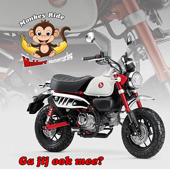 monkey ride