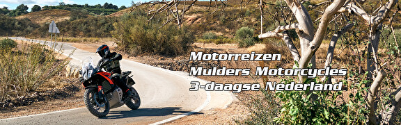 Motorreizen